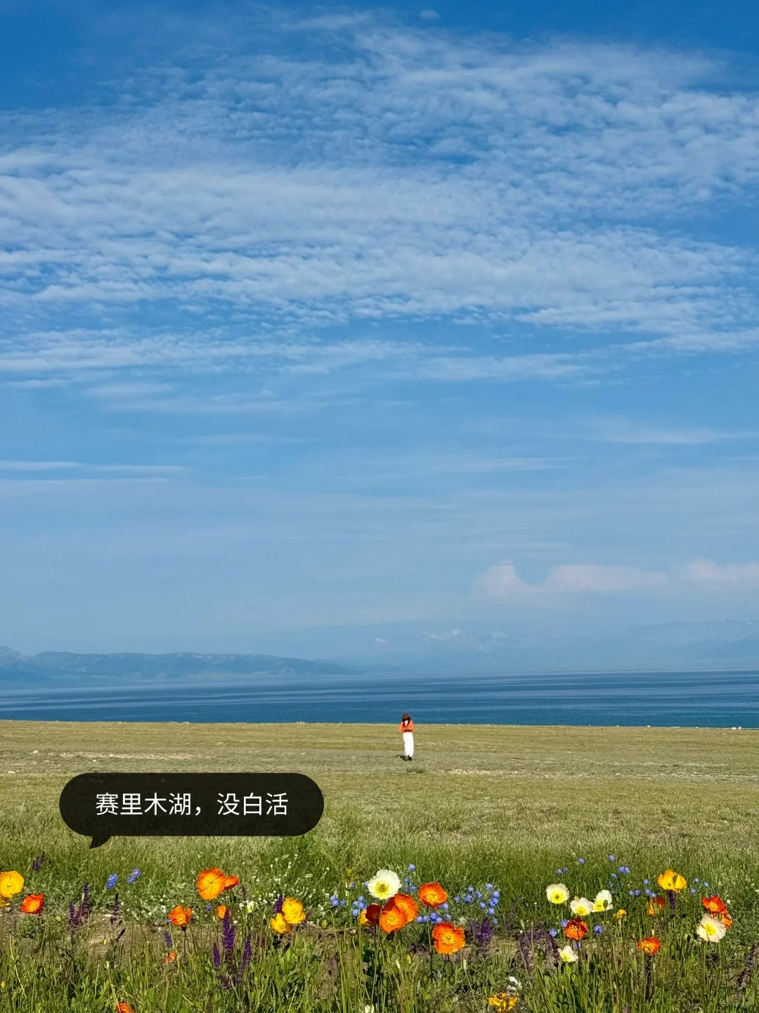 新疆伊犁已回，10天9晚自用舒适行程分享_4_Sitara.星迴_来自tour520旅游攻略